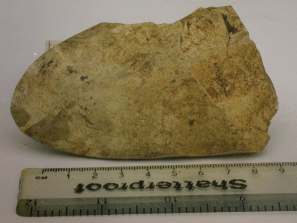 Ancient stones unearthed in Shrivenham