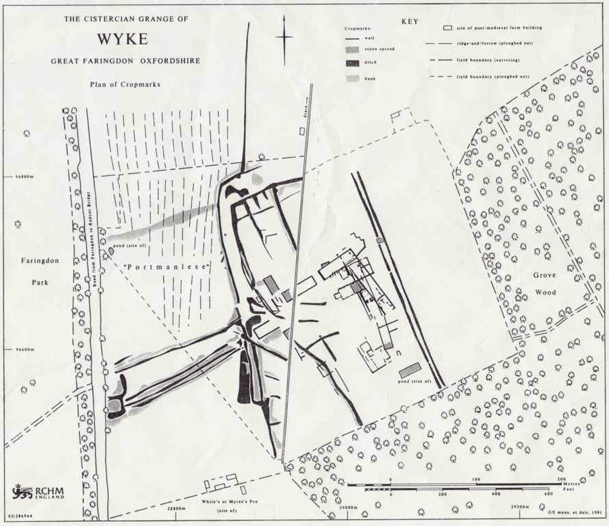 Copy of a survey carried out on the site