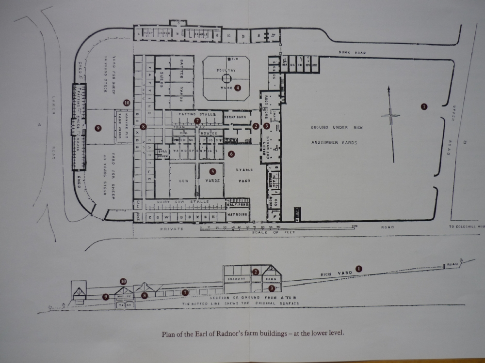 Plan of the Model Farm