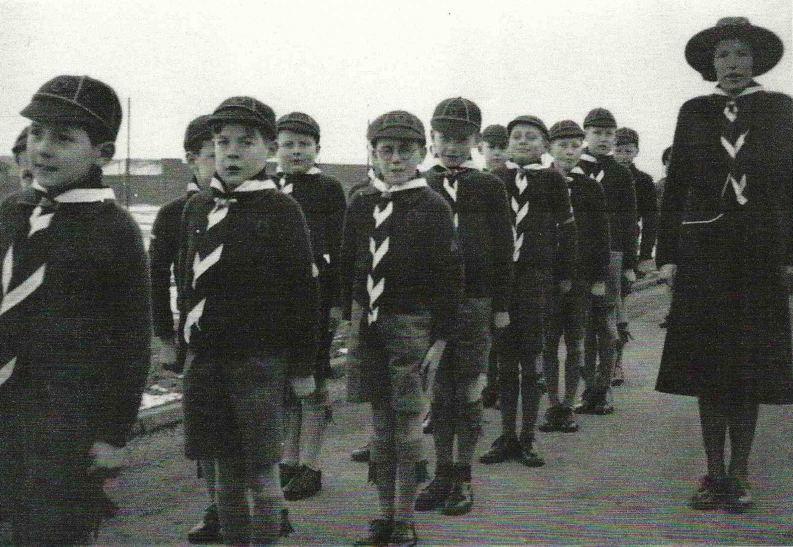 Cub pack standing to attention