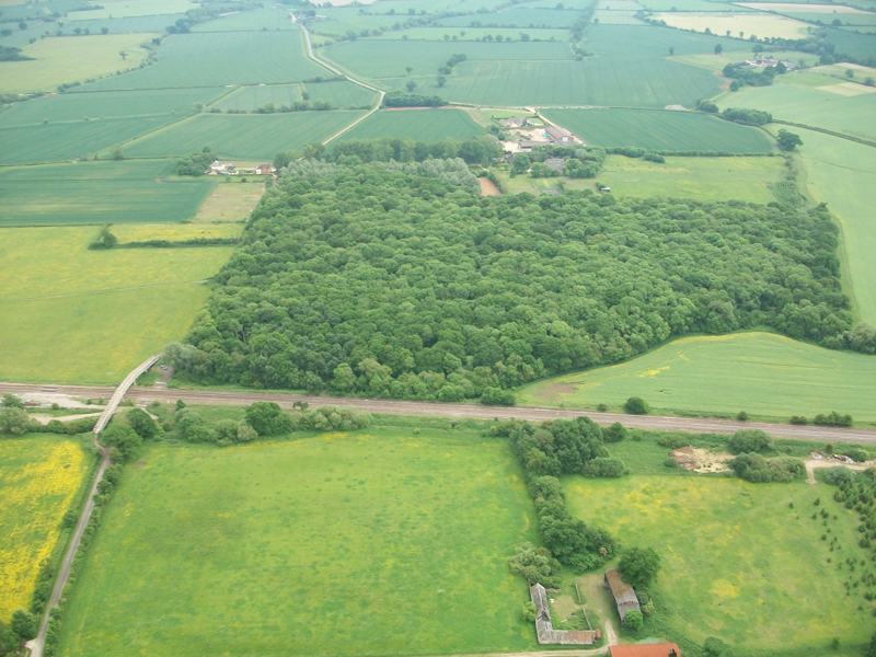 Stainswick Copse and the trackway leading to the barn