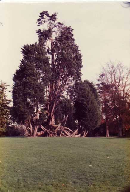 Photos of Beckett Park taken by Roy Selwood