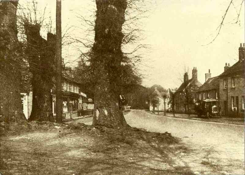 The Cross Trees Shrivenham towards the end of their life