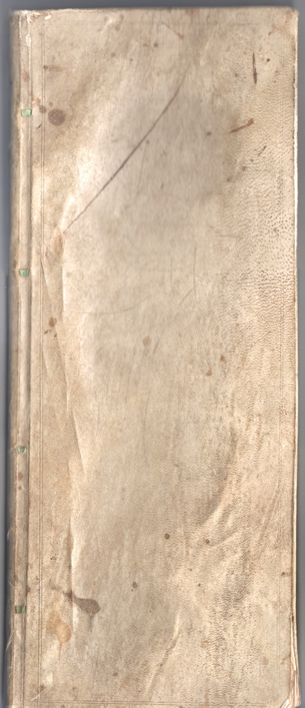 The khaki coloured, animal skin book