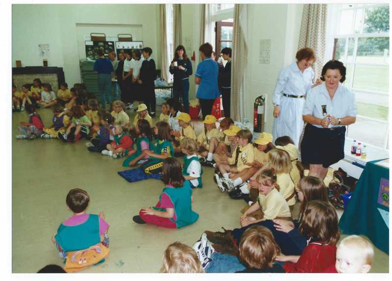 Shrivenham Brownie's 50th Anniversary Party