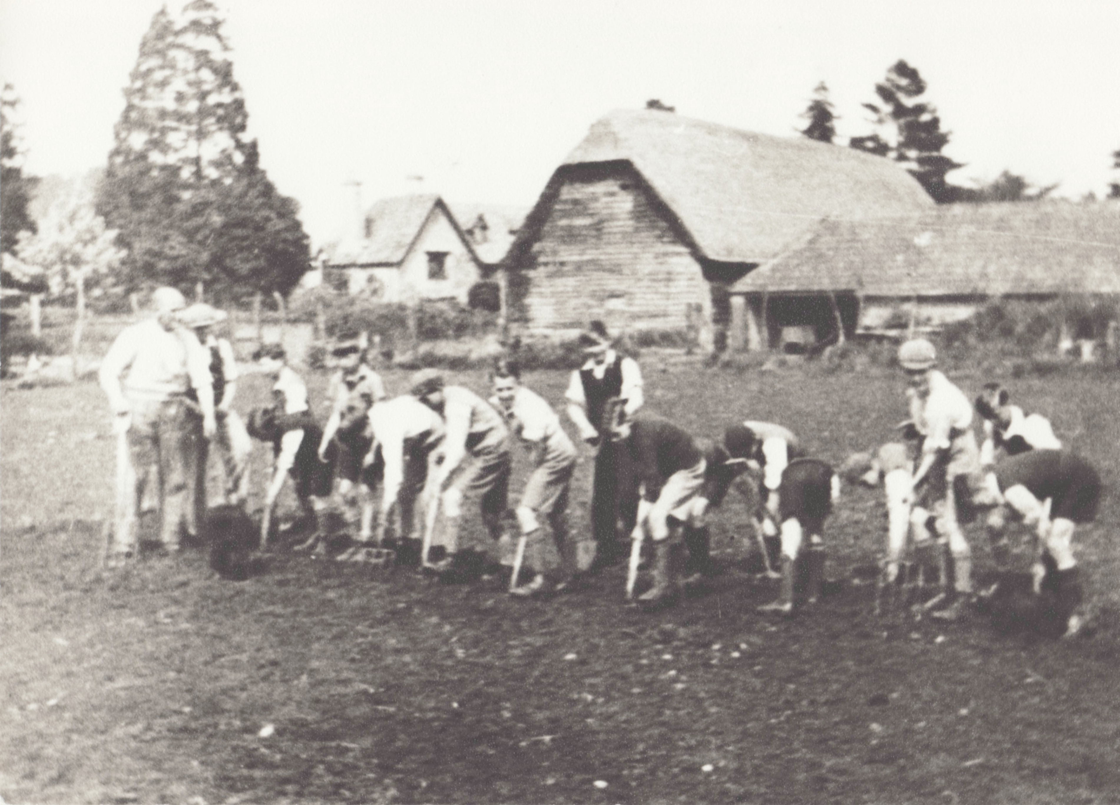 Digging on the farm