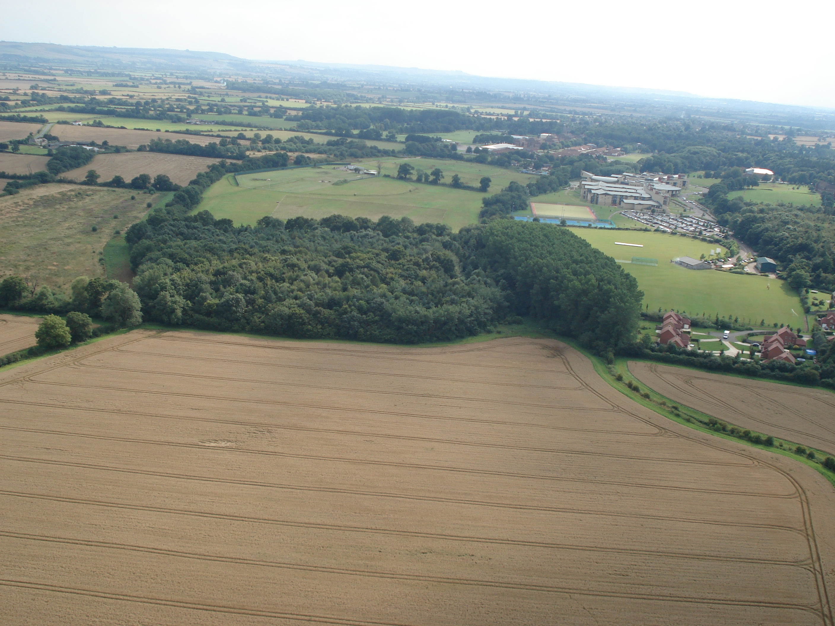 Bower Woods at Watchfield. Photo by Neil B. Maw