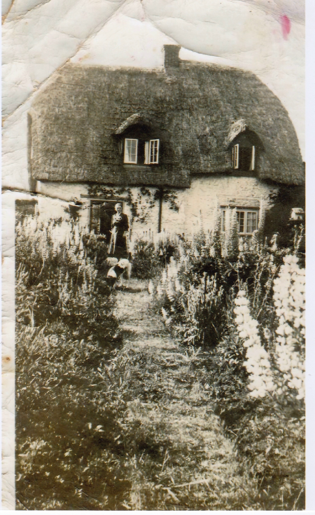 May Tree Cottage in 1938/9, the possession of the Kindertransport Girl